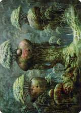 Forest // Forest [ADMU-65]