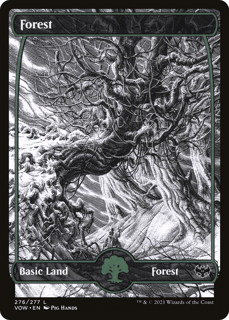 Forest - Showcase - Full Art [VOW-276]