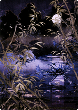 Swamp // Swamp [ANEO-81]