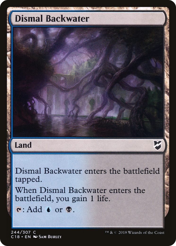 Dismal Backwater [C18-244]