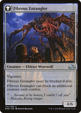 Tangleclaw Werewolf // Fibrous Entangler [EMN-174]