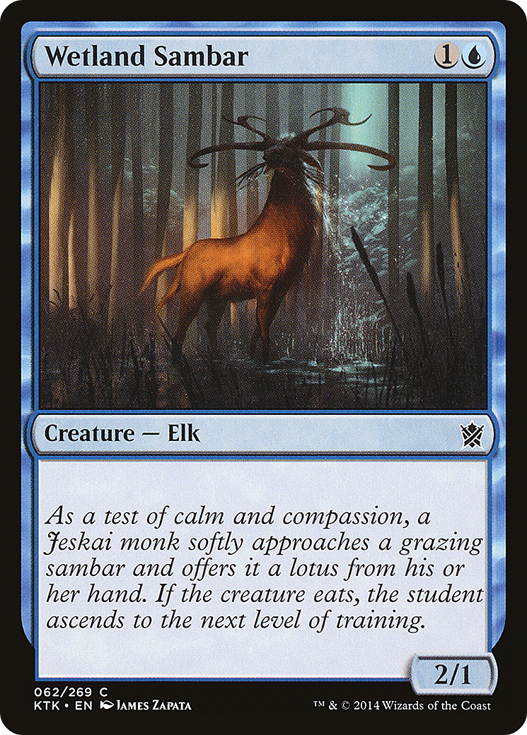Wetland Sambar [KTK-62]