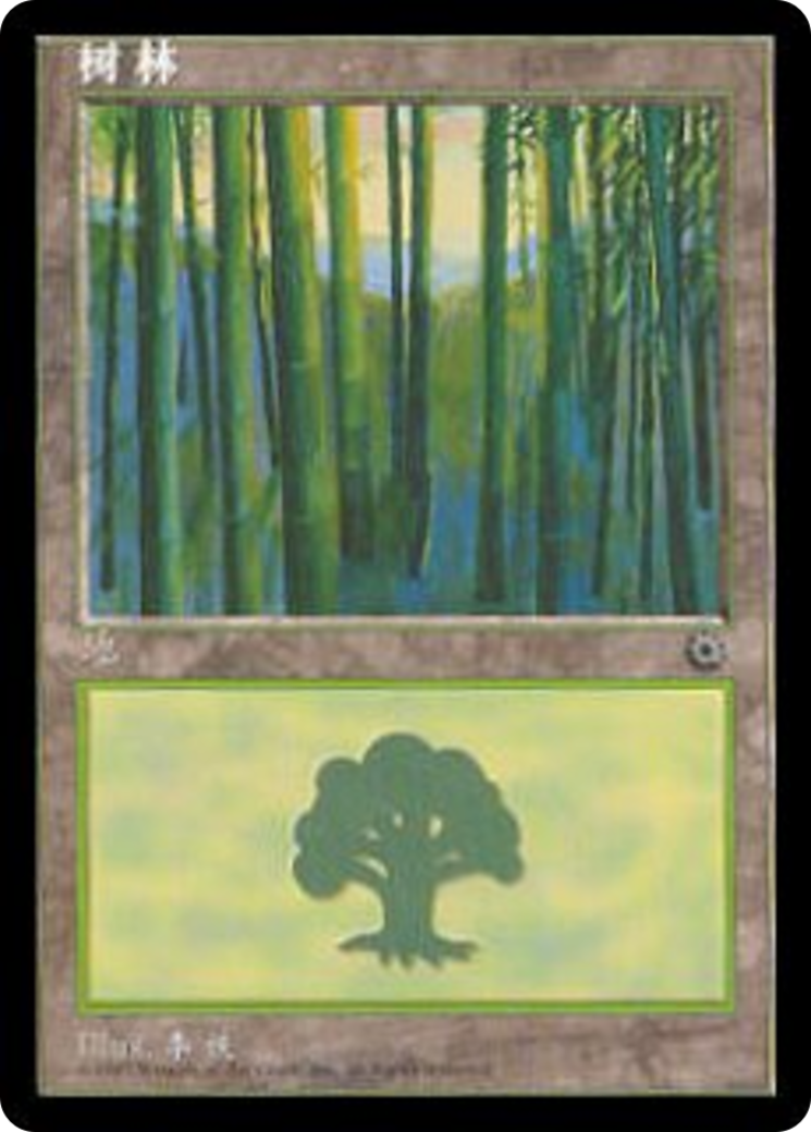 Forest [POR-214s]