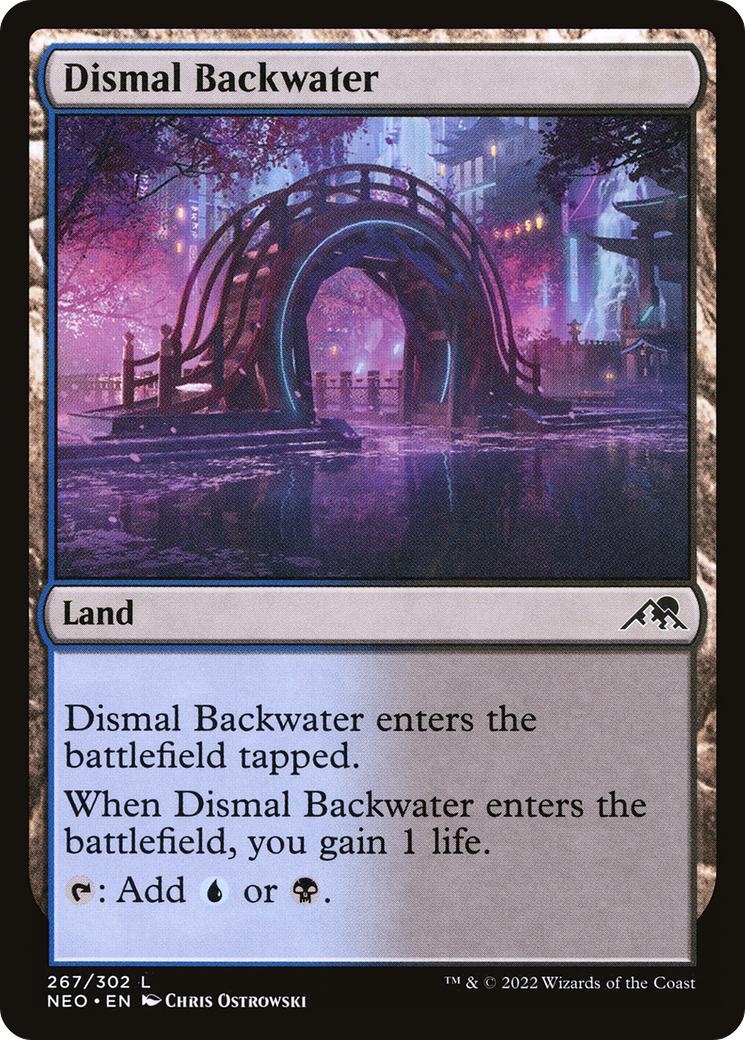 Dismal Backwater [NEO-267]